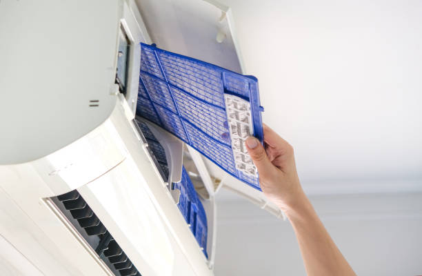 Best Professional Duct Cleaning Services  in Eunice, NM